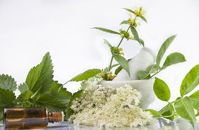 Elderflower and Bottle